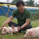 땅끝마을농장 이미지