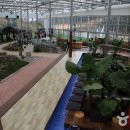 알로에테마파크 이미지