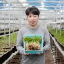 최성훈농장 이미지