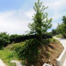 삼청농장 이미지