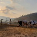 신월리달뜨는마을 이미지