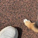 사하라동물병원 | [통영 임산부요가] 임산부 운동클래스 추가 개설OPEN!