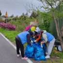 세화1리 이미지