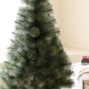 더 파인트리 이미지