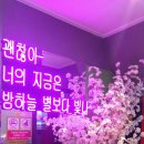 쏭노래연습장 네이버블로그