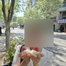 [영춘모찌] 내돈내산 후기