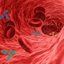 히스톤(HisTone) 네이버블로그
