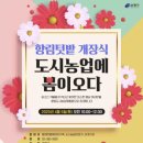 친환경나눔텃밭 이미지