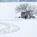 12월 눈 내리면 여기만 한 곳이 없죠... 15만 평 전부 순백으로 물드는 겨울 들판 이미지