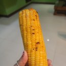 비스타펜션 이미지