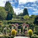 피나클랜드 이미지