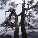 연리지가든 이미지