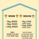 도그레스트