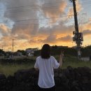 몽생이 민박 | 김녕 별 다섯개 숙소 : 제주 돌담집 김녕몽생이 / 세기알 해변 도보 15분