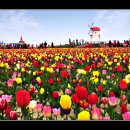 마동동사무소 이미지