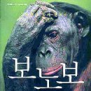 보노보 이미지