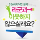 총각갈매기 이미지