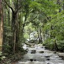 전일 | 치앙마이 도이인타논 트레킹 전일투어 후기