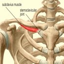 봄날의외과의원 | 손의 부종과 통증의 반복 시 혈관 외과에서 해결해 드립니다 - 정맥 흉곽 출구 증후군 (VTOS) 시술 후기