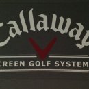 세이스크린골프 이미지