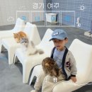 여주-1126 | [두 아이도 만족] 자연 속에서 진짜 동물 만난 날 🐑여주 ‘주주팜’ 체험 후기 (주차·예약·동선 팁)