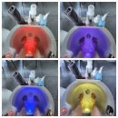 카파이풋 - 제주시 백포북길 23 | [제주 공항 근처 족욕카페] 여행 막바지 힐링, 카파이풋 도두점 솔직 후기