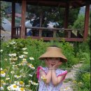 그린토피아 이미지