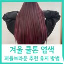 겨울 쿨톤 퍼플브라운 염색은 헤어디자인모습 추천