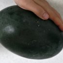 오늘의 인류애 충전 🍉 이미지