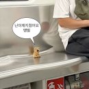 유정요양병원 | 3월 결산