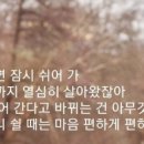 이쁜나무