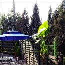 작은쉼터 스텔라 이미지