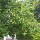 성현동-20 이미지