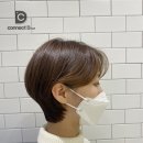 커넥트디 이미지