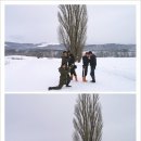 일주전기
