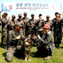충성 Daum카페