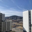 집현동_새나루 906동 앞 | 🏠세종 LH 행복주택, 새나루단지 12단지 4년 살며 느낀 솔직 후기