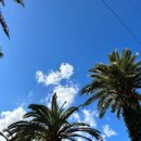 태양공업사 이미지