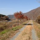 금마3리마을회관 이미지