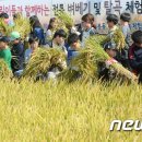 월천경로당 이미지