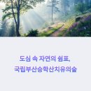 국립부산승학산치유의숲: 위치, 교통, 후기, 프로그램 A to Z 완벽 정리