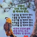새벽을여는사람 Daum카페