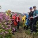 사자산마을 이미지