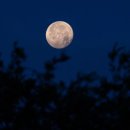 일상의집 이미지