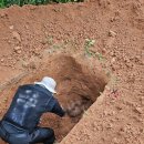 선성군 묘역 및 석물 | [안산 꽃빛공원]"더 늦기 전에 모십니다" 구) 안산 시립묘지 이장 후기