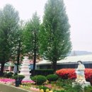 포천노곡초등학교 이미지