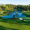 마스터스골프연습장 이미지