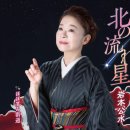 北の流れ星 - 岩本公水 [키타 노 나가레보시 - 이와모토 쿠미] 이미지