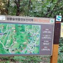 무지랭이 이미지