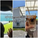 미야코지마 | 시모지시마공항 렌터카 픽업 후 블루터틀카페 오픈런 후기 (주차 무료, 뷰 맛집)